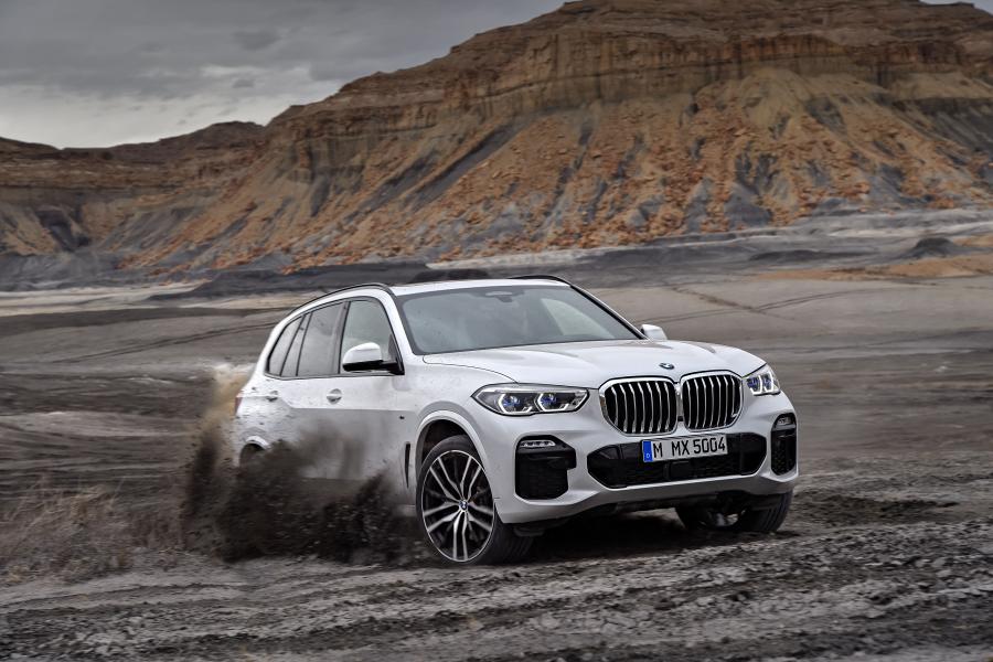  BMW X5 xDrive30d M Sport (G05) 2018 года  (WW) (фото 74 из 75)